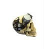 Calavera de Resina Steampunk