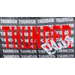 Camiseta  algodón, de la marca Thunder Plus, estampado Grupo Trivium