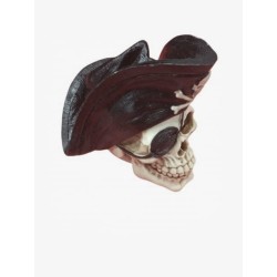 Calavera De Resina Sombrero Pirata15X13