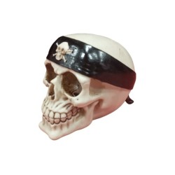 Calavera De Resina Con Cinta Pirata 12X 12